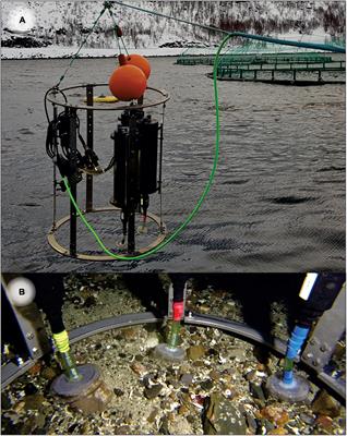 A Substrate-Independent Benthic Sampler (SIBS) for Hard and Mixed-Bottom Marine Habitats: A Proof-of-Concept Study